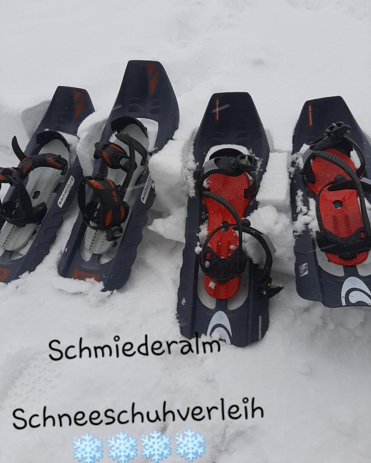 Gasthof Schmiederalm Aldein Eksteriør bilde